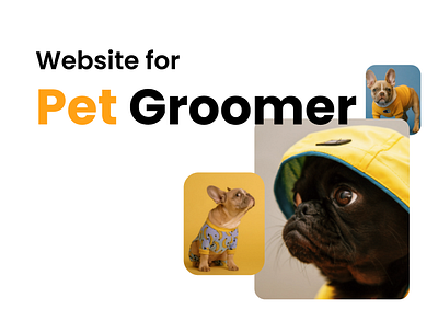 Pethouse - website design for local groomer and petshop 3mindsstudio graphic design hi fi landing landing page ui ux website website design