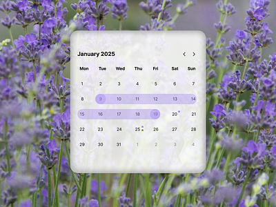 Simple calendar | Daily UI Challenge #6 calendar product design ui web design