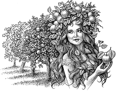 Apple apple black and white botanical engraving garden girl illustration scratchboard tree woodcut