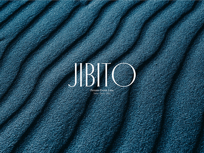 Jibito brand book branding design food graphic design logo peruvian restaurant