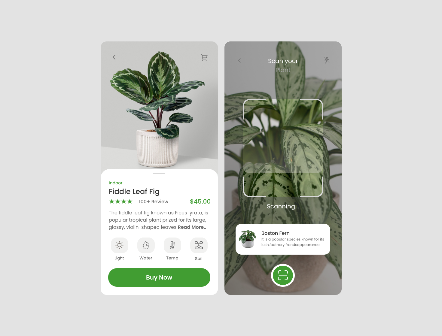 Plant Care App design ecommerce mobile plants ui uiux