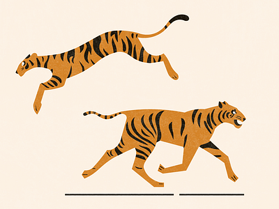 Tiger illustration concept drawing graphic design ilustration