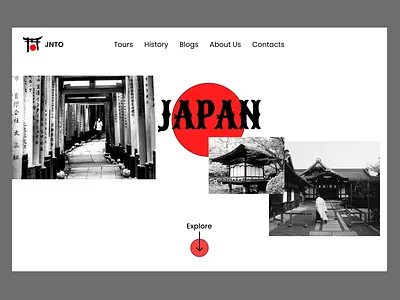 Travel Landing page ui