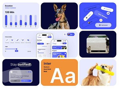 Visual Identity and Fitness App Design for Man’s Best Friend branding card design components dashboard dog filter fitness interface design pet training ui ux uxui webdesign