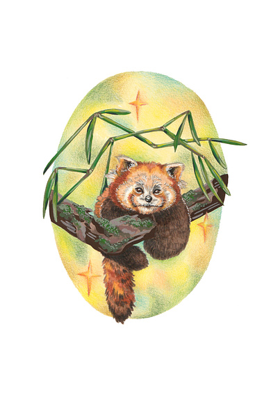 Red Panda Mixed Media animal animal portrait bamboo climate crisis creature cute earth day endangered animal environmental awareness gel pen gouache painting hand drawn nature panda pencil planet plants stars traditional art wildlife