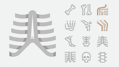 Human Skeleton / Basicons anatomy body bone bones carcass chest hand human human bones human skeleton icons joint knee pelvis ribs skeleton skull tiptoe vector vertebra