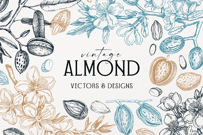 Vintage Almond Vectors & Designs almond black and white blooming branch design engraved style hand drawn invitation template seamless pattern sketch sketched graphics vector vintage