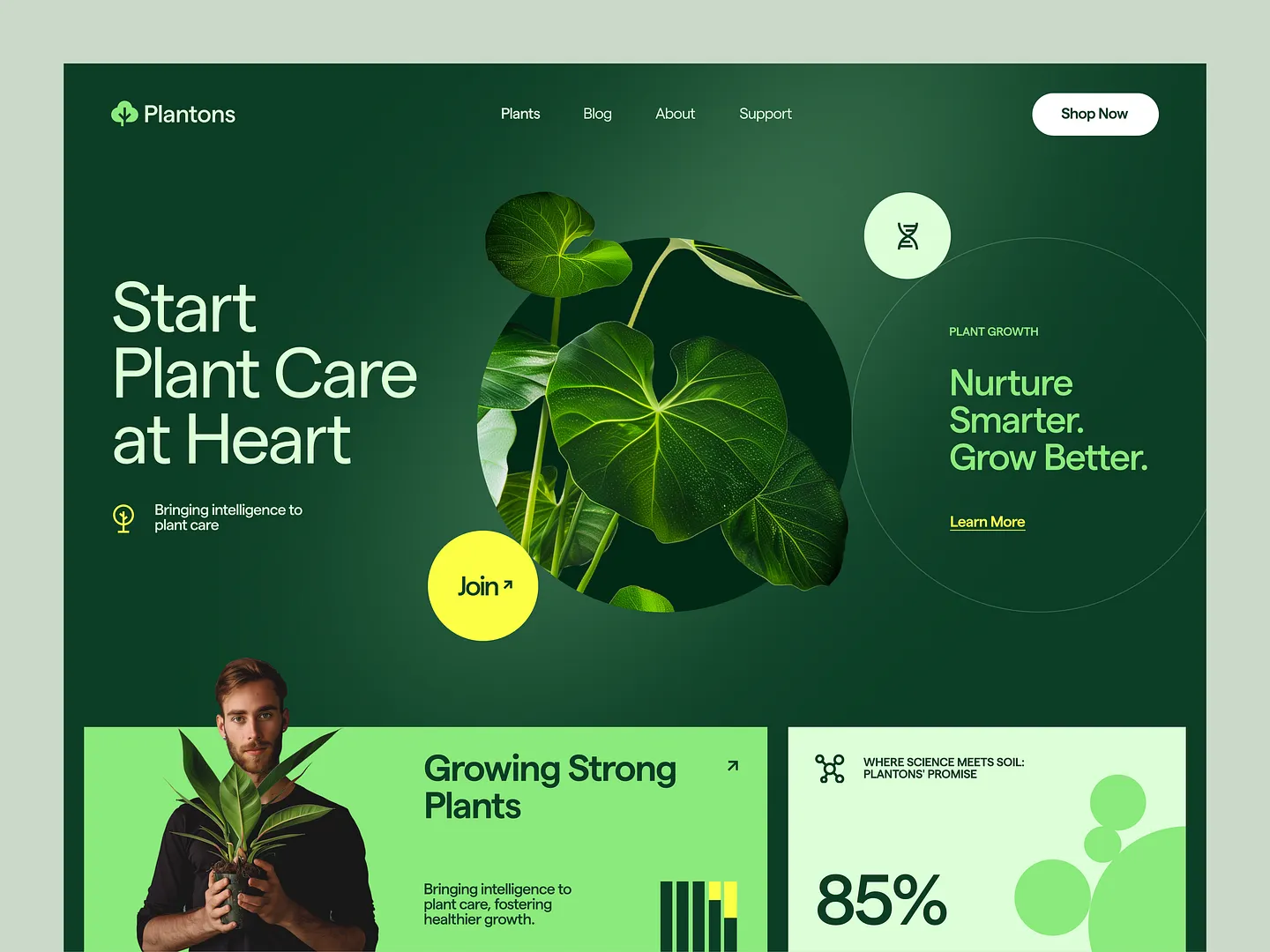 Promotional Website Design for Plant Care: Plantons