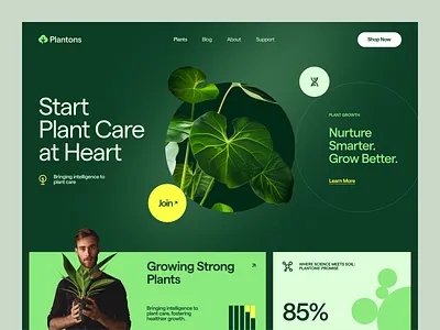 Plantons Website design interface product service startup ui ux web website