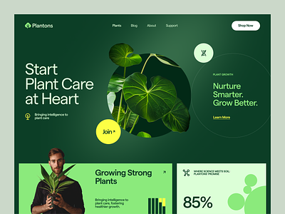 Plantons Website design interface product service startup ui ux web website
