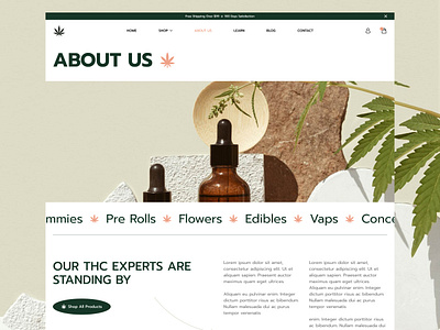 THC Website Design design landing page design mockup design uiux website design
