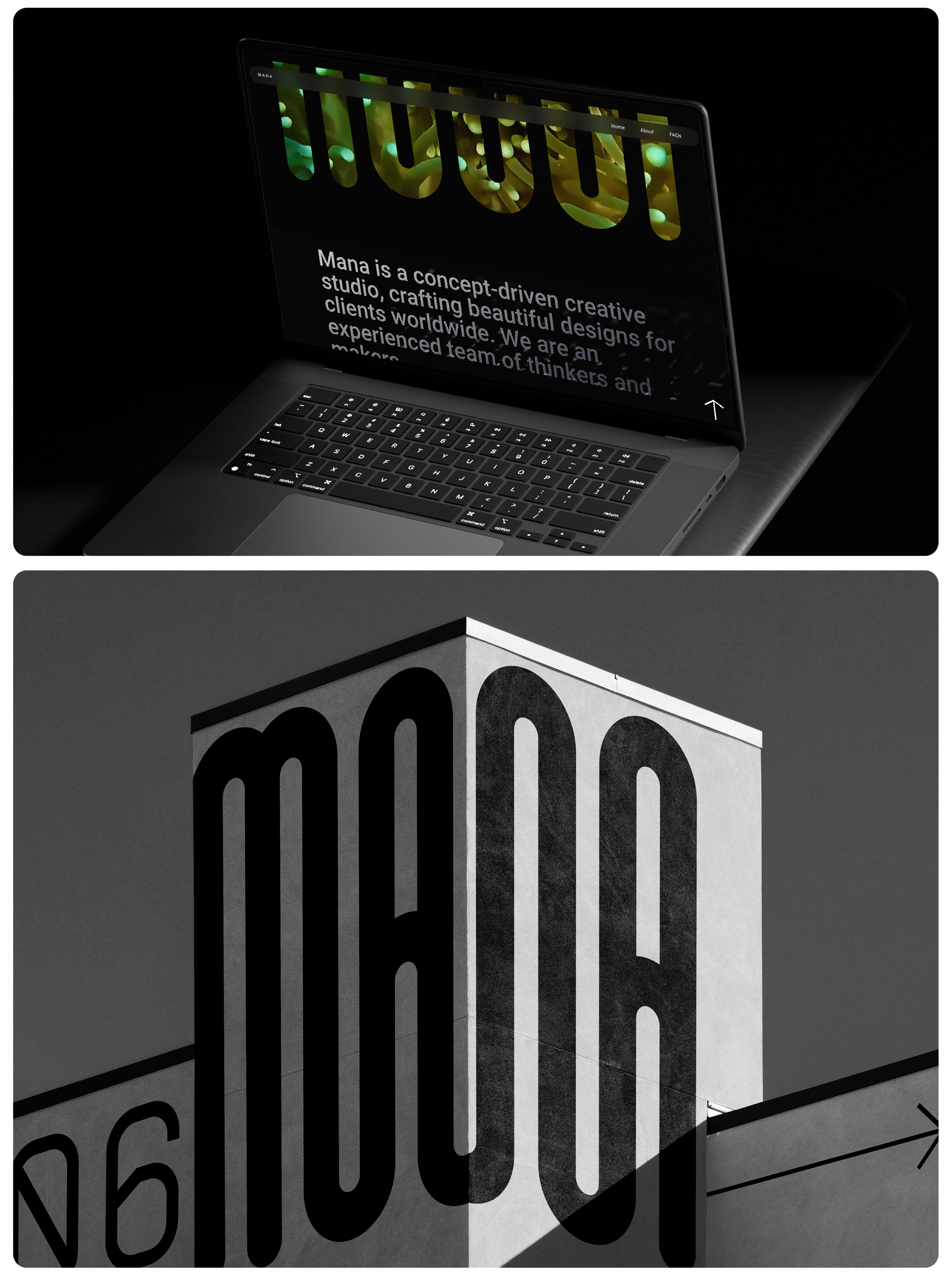 Mana Studio by Calin Alexander on Dribbble