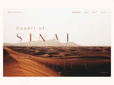 SAHARA TRAVEL WEBSITE concept design desert design sahara sinai travel ui website