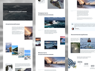 Longrid Atlantic Ocean design ui ux