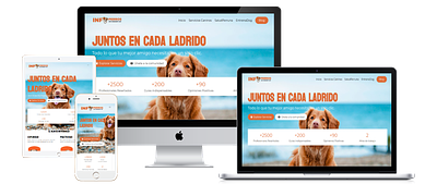 Infoperros.es | Dog Community APP dogs web design