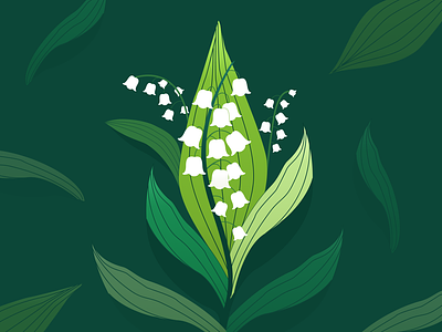 Lily of the Valley Illustration - May Birth Flower botany flower graphic design green illustration lily of the valley may nature spring vector