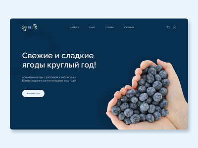 Concept for a fresh berries store concept design ui ux web webdesign
