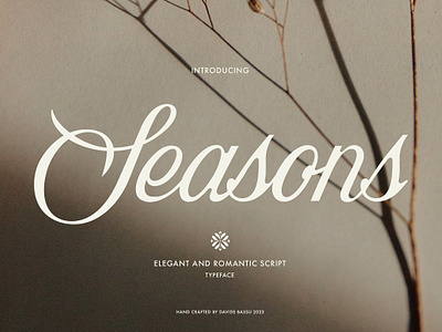 Seasons script artistic lettering beautiful writing chic script classic fonts cursive fonts formal script luxury typeface signature fonts sophisticated lettering timeless elegance vintage script wedding typography