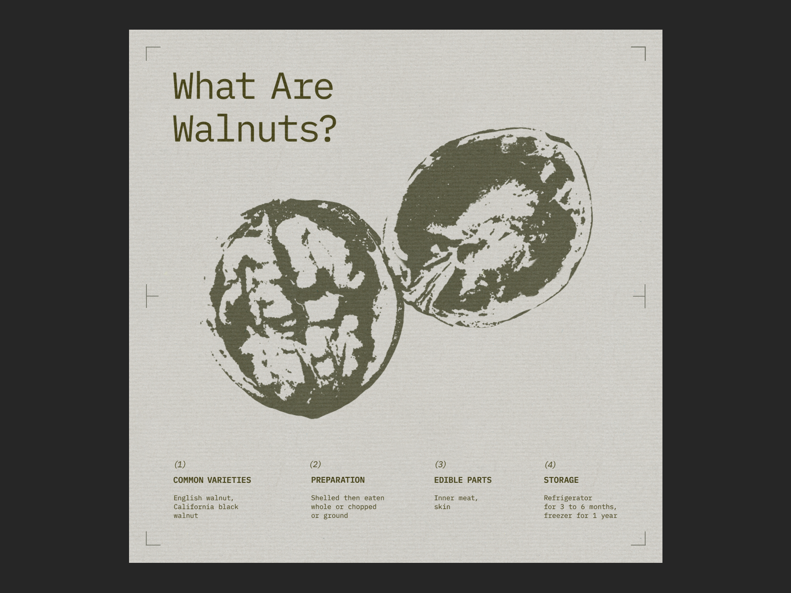 Walnuts Poster graphic design grig minimalism nuts poster walnuts