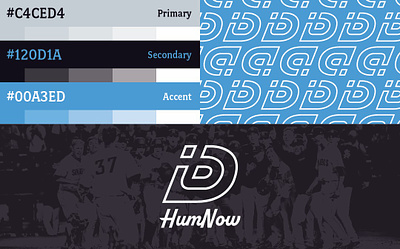 HumNow - Brand 02 branding logo