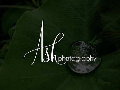 Ash Photography Logo Design branding design graphic design logo typography vector