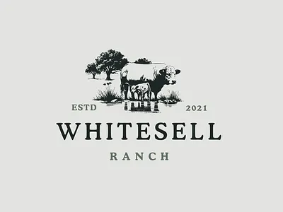 Whitesell Ranch beefmaster calf beefmaster cow brand branding cattle cattle farm cow family farm logo family ranch farm branding farm design farm logo illustration logo design primary logo ranch