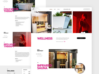 Platinum Sol Service Pages branding design grid grid layout interface mockup red light therapy sauna service tanning therapy ui ux web design wellness