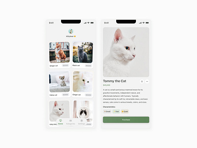 Mobile app exploration to buy cats design mobile design ui