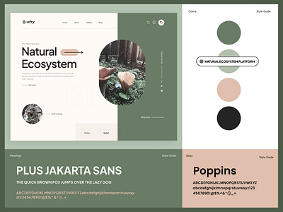 Ecosystem Website Style Guide With Header analytics app ui branding cards design figma graphic design illustration logo style guide ui