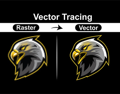 Vector Tracing / Raster to Vector convert to vector illustration logo vector raster to vector tracing vector tracing