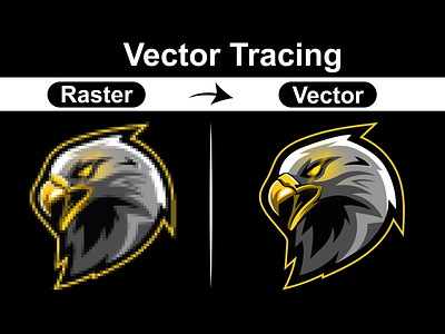 Vector Tracing / Raster to Vector convert to vector illustration logo vector raster to vector tracing vector tracing