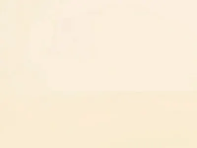 Autumn Leaves Falling Down animation graphic design motion graphics