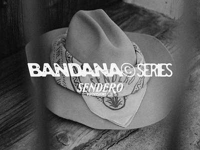 Bandana Series Vol.01 apparel badge design bandana cactus cowboy desert illustration merchandise vintage vintage badge western