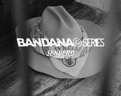 Bandana Series Vol.01 apparel badge design bandana cactus cowboy desert illustration merchandise vintage vintage badge western