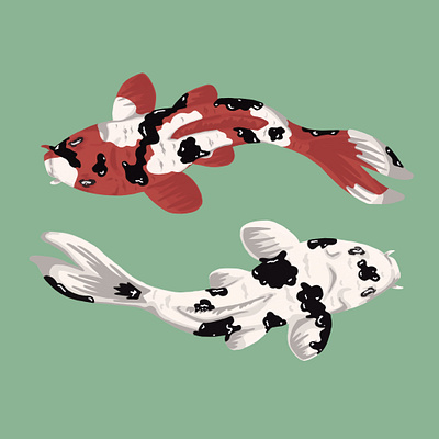 Koi fish illustration
