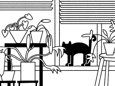 SKETCH cat illustration sketch