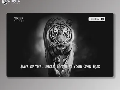 Tiger safari park landing page hero image app design branding design jungle safari tiger ui user experience user interface ux uxui web design