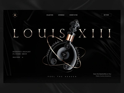 Louis XIII - French Wine Cognac House Landing Page Website beverage branding company company profile dark design drink international landing page layout luxury ui ui design ux web design web layout webdesign website website design wine