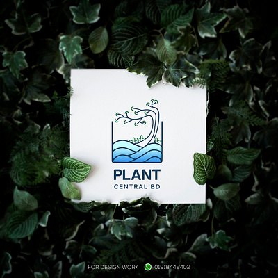 Aquascaper Logo | Plant logo | Aquarium Logo adobe illstrator aquarium branding aquascaper logo branding design illustration logo logodesign plant logo typography vector