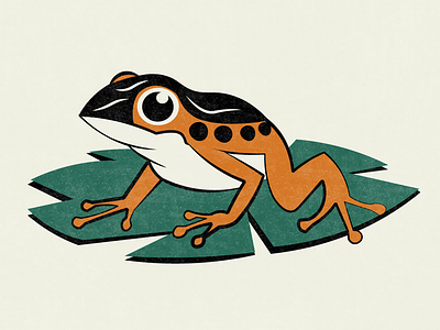 Frog graphic design motion graphics visual design