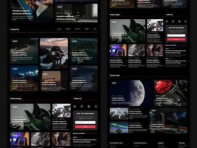 BlogDesigns: Where Creativity Meets Content animation graphic design ui