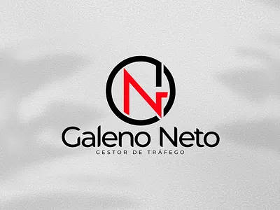 Visual Identity - Galeno Neto - Traffic Manager branding graphic design identidade visual logo visual identity