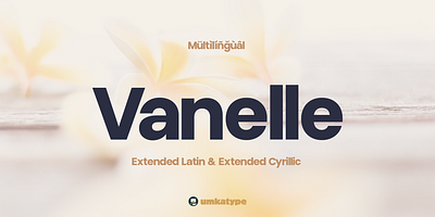 Vanelle - Display Font branding font clean font cyrillic display font elegant font font design logo font minimalistic modern sans serif multilingual readable russian simple sleek typeface