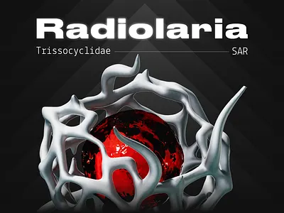 Radiolaria 3d 3d graphic design illustration