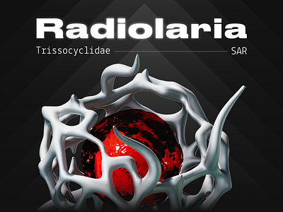 Radiolaria 3d 3d graphic design illustration