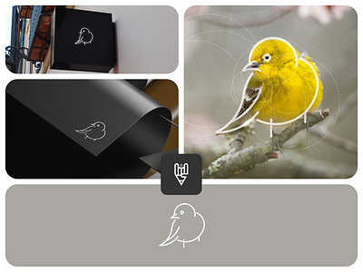Bird Logo Design app bird branding design flat graphic design icon illustration logo ui vector