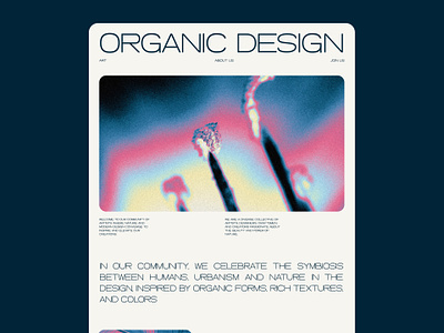 Biomorphism 2 website app art director back version biophormism branding colorful direction artistique figma futurist graphic design minimalist modern natural nature organic typography ui ux website