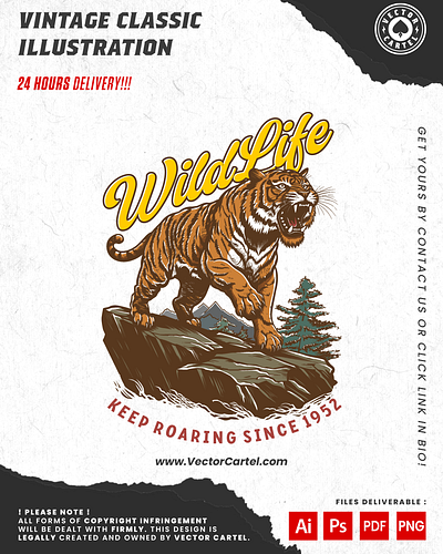 Tiger Vintage Classic Illustration Design cartoon cartoon design cartoon logo cartoon t shirt design classic design classic logo classic mascot illustration mascot mascot design mascot logo mascot t shirt design tshirt design vector vector design vectorcartel vintage design vintage logo vintage mascot vintage t shirt design