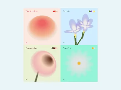 Flower 2d graphic design illustration