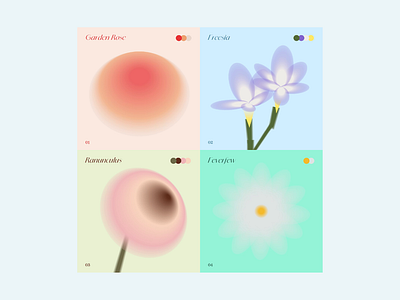 Flower 2d graphic design illustration